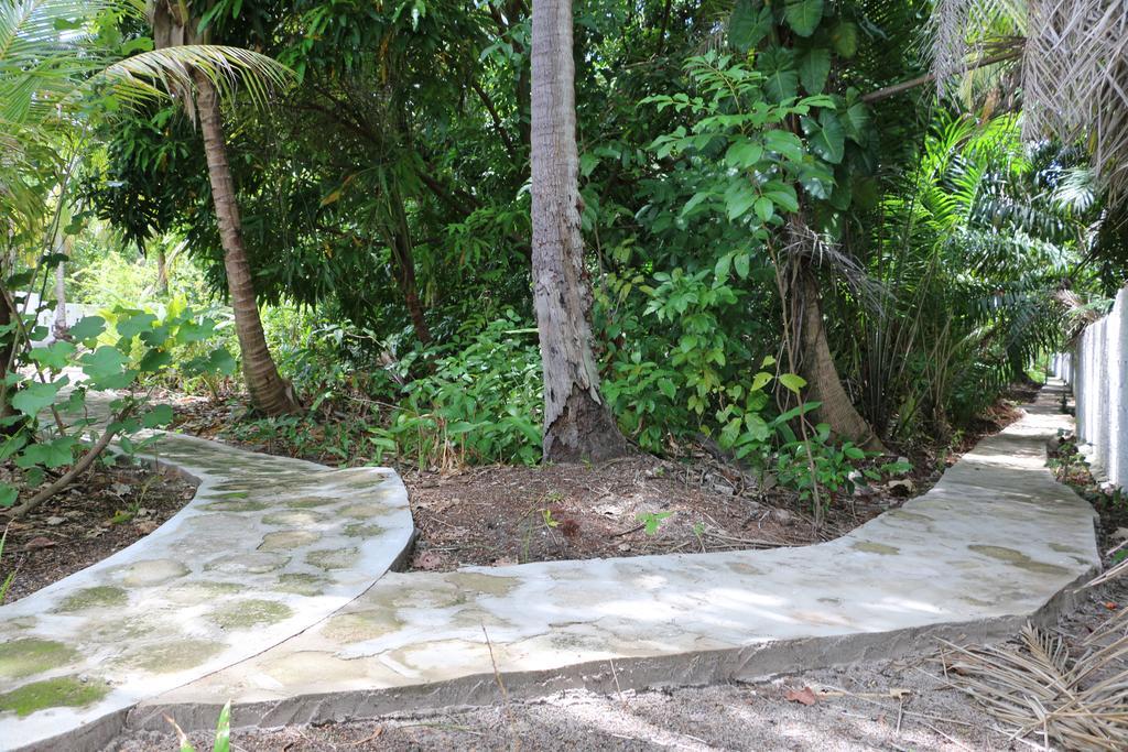 Pousada Ponta De Mangue ماراغوغي المظهر الخارجي الصورة