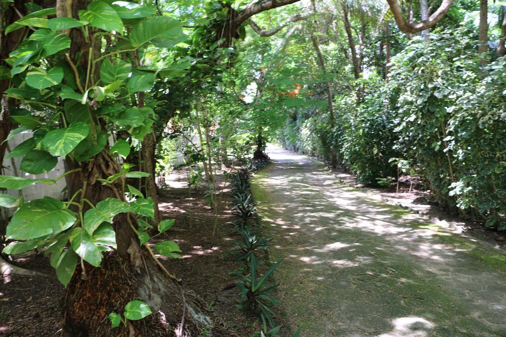 Pousada Ponta De Mangue ماراغوغي المظهر الخارجي الصورة